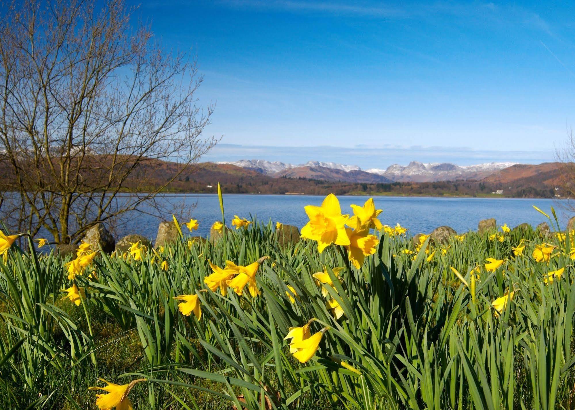 May Cottage B&B Bowness-on-Windermere Extérieur photo