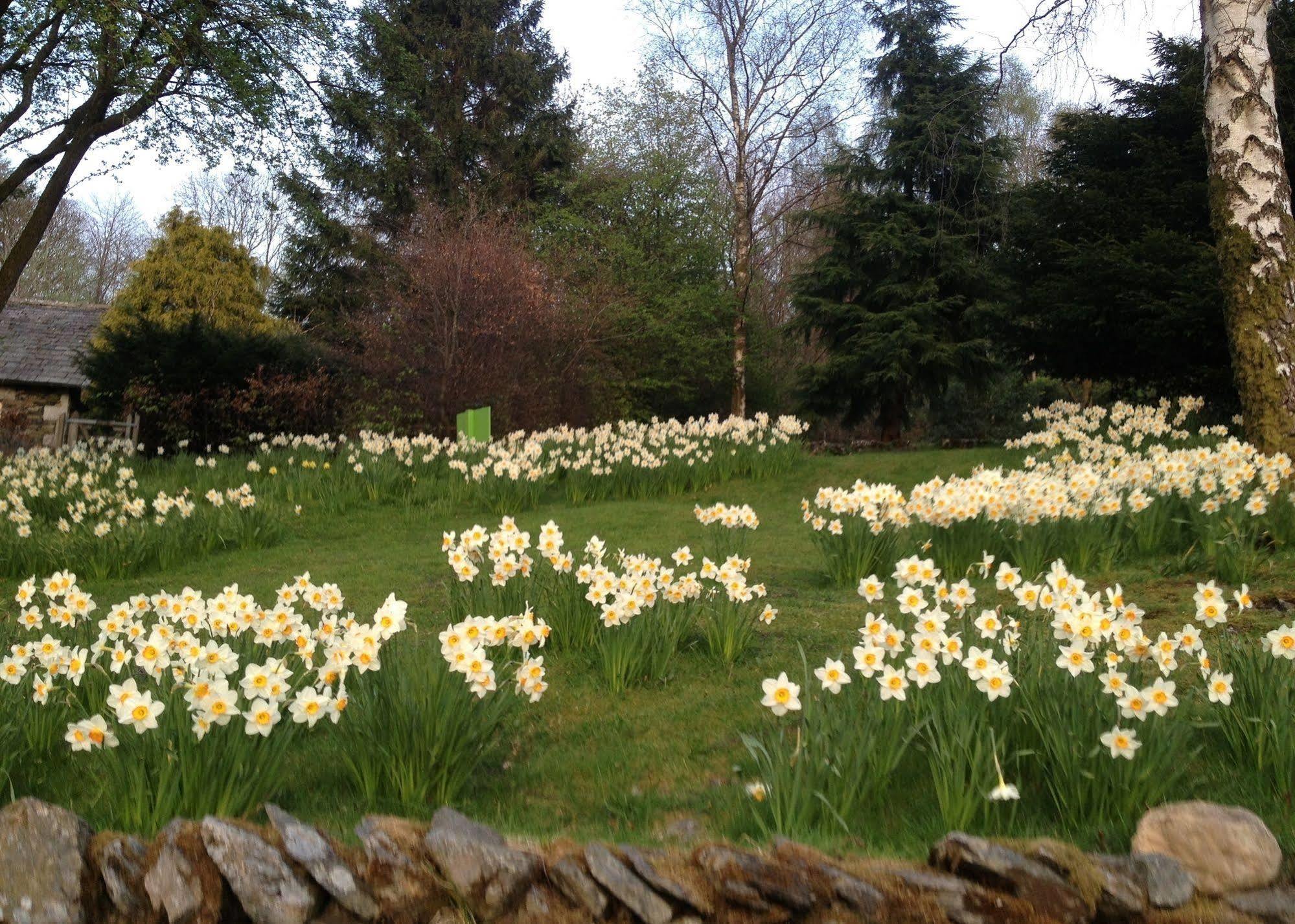 May Cottage B&B Bowness-on-Windermere Extérieur photo